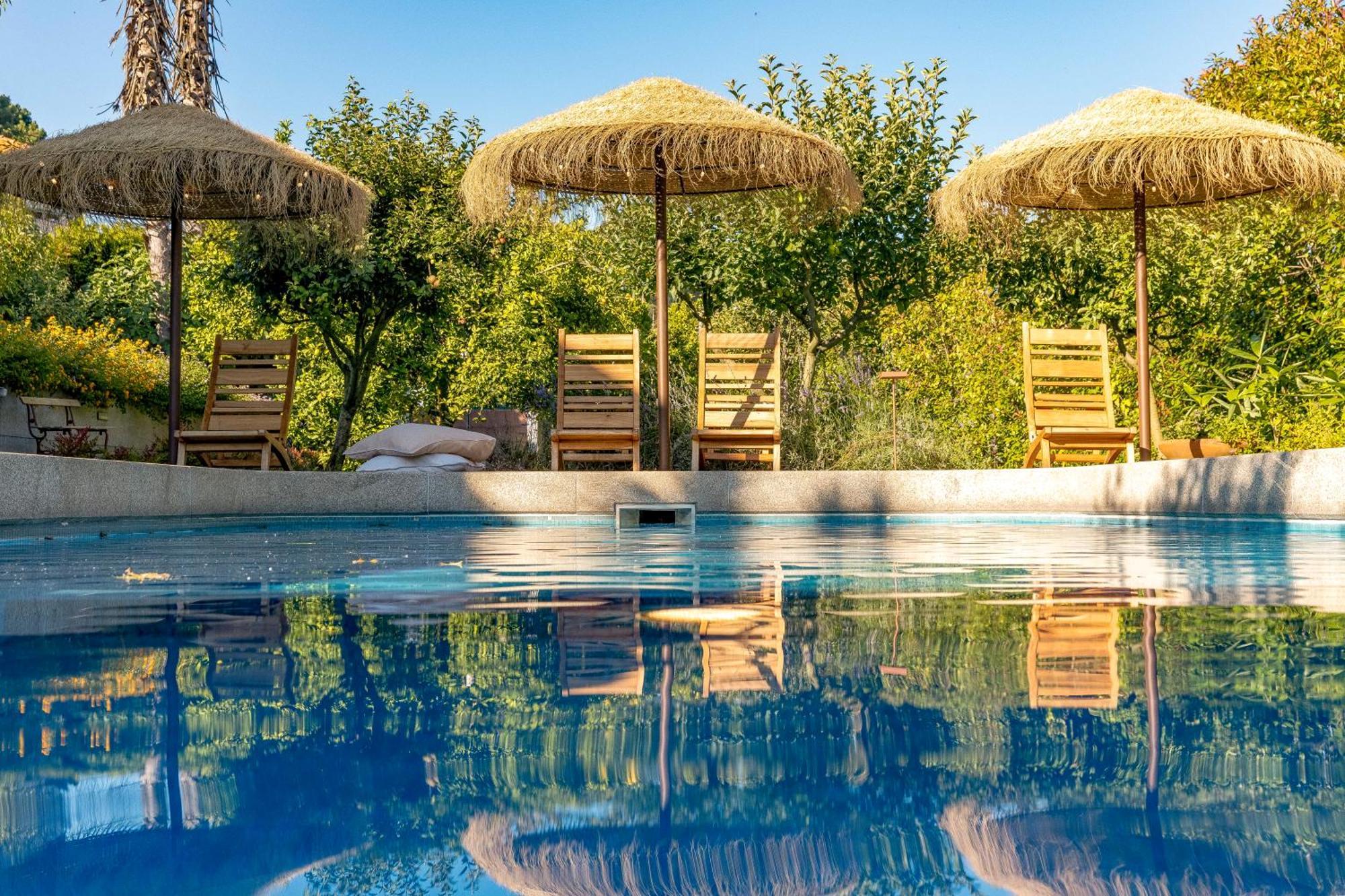 Countryside Villa Near Porto Paredes  Dış mekan fotoğraf